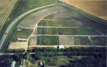 The Rural Millionaire - Bruno Wiskel